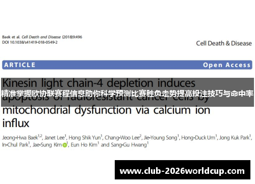 精准掌握欧协联赛程信息助你科学预测比赛胜负走势提高投注技巧与命中率